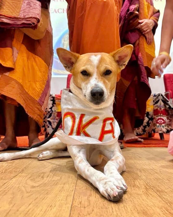 ALOKA wearing an ALOKA bib